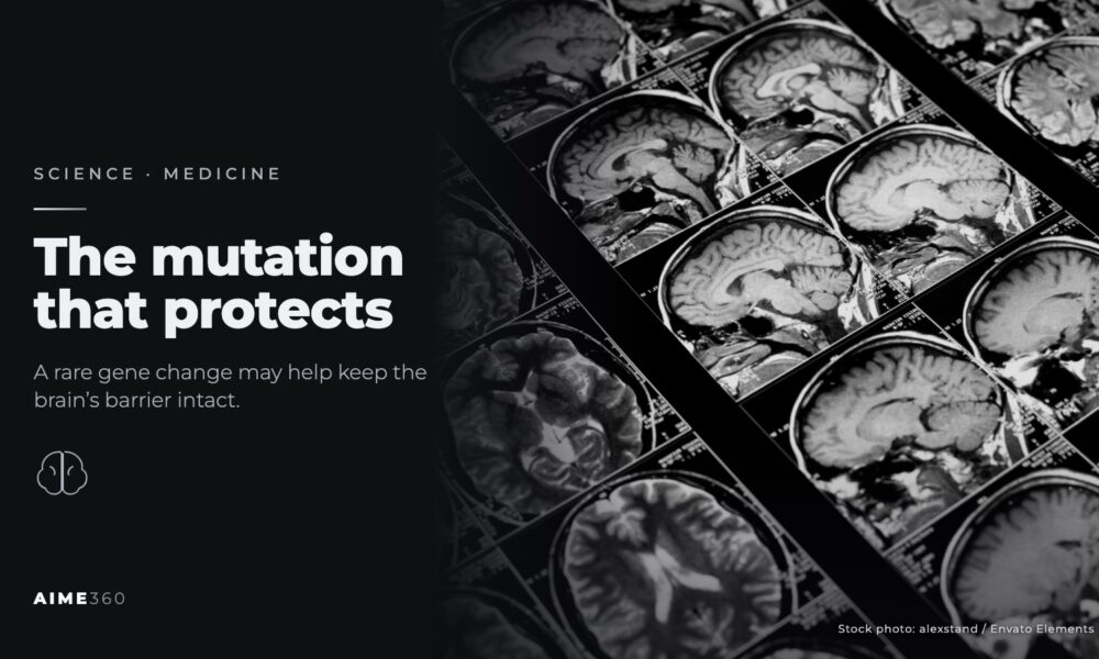 Rows of brain MRI scans, in black and white, beside the headline The mutation that protects