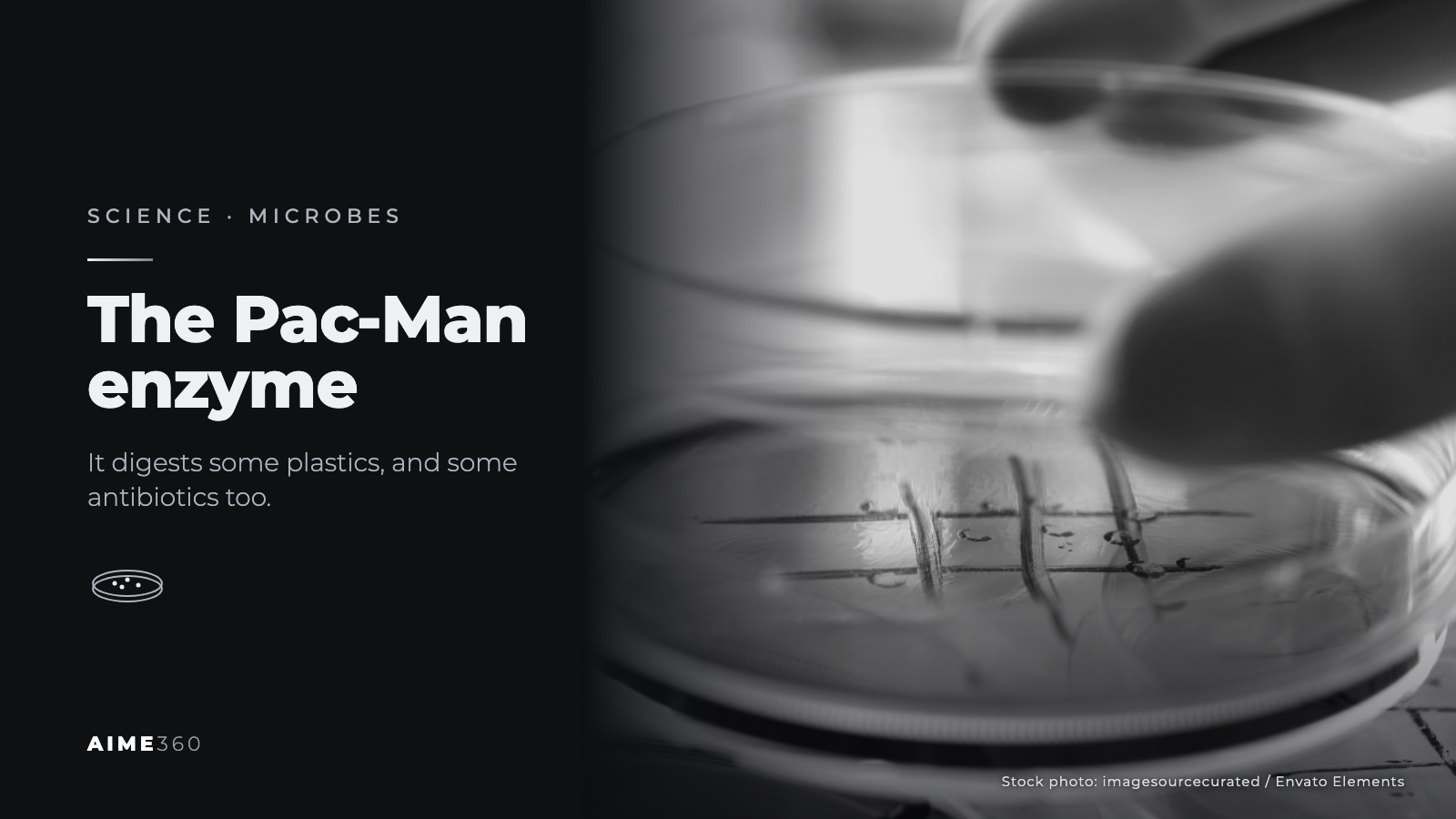 A gloved hand holding a petri dish, in black and white, beside the headline The Pac-Man enzyme