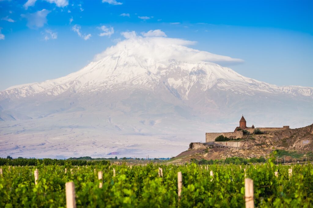 Vineyards below Khor Virap monastery with Mount Ararat behind