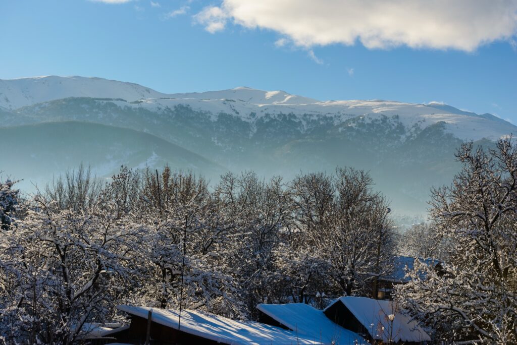 Snow-covered trees and mountains in Armenia